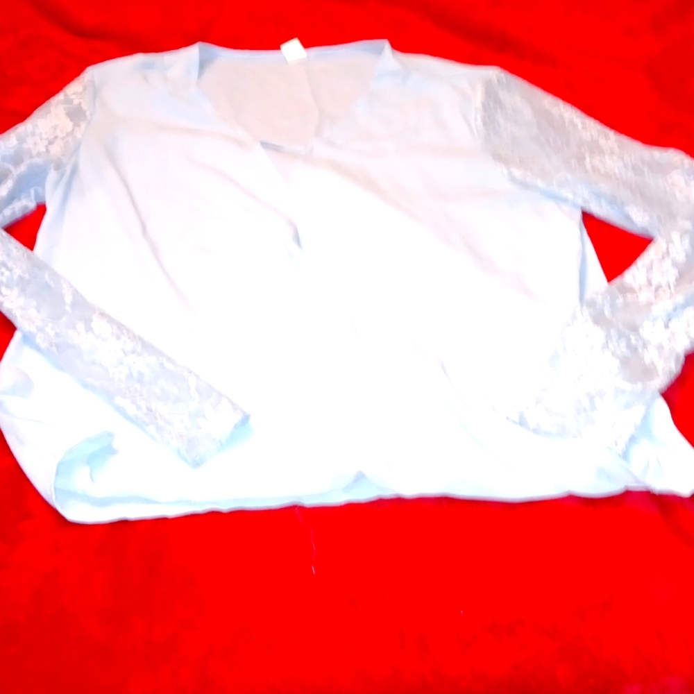 Baby blue, long sleeve lace, vneck blouse.